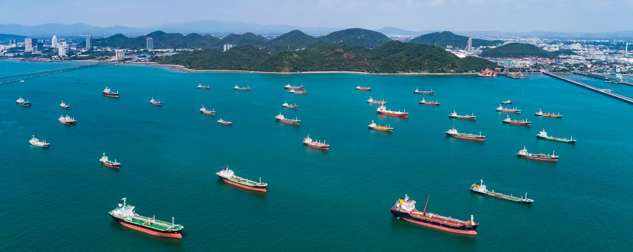 dry bulk carrier fleet cargill ocean transportation