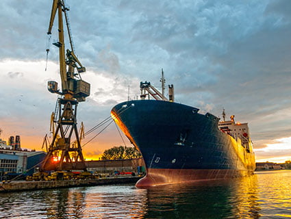 dry bulk carrier fleet cargill ocean transportation