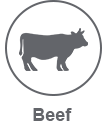 beef light icon