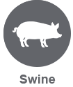 swine dark icon