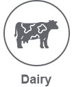 dairy light icon