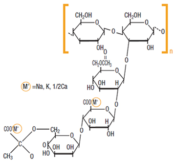 Structure of Xanthan Gum