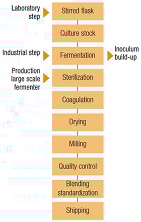 Xanthan Gum Mfanufacturing Process