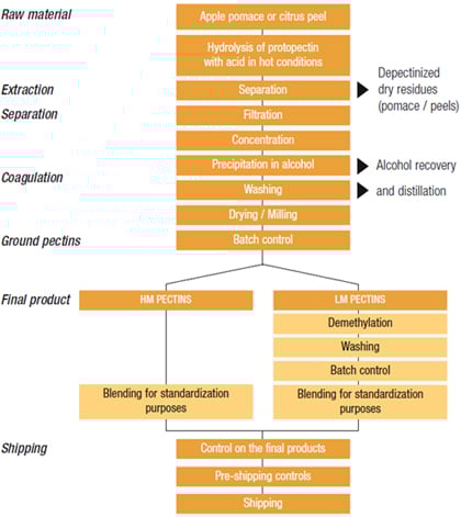 Pectin Manufacturing Process