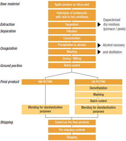 Pectin Processing Bulk Pectin Supplier - Stabilizer in Food Applications - North America ...