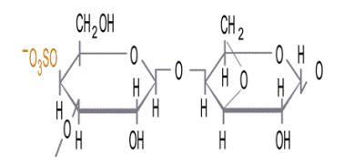 Kappa 1 Sulfate - Carrageenan