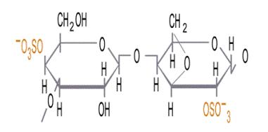 Iota 2 Sulfate - Carrageenan