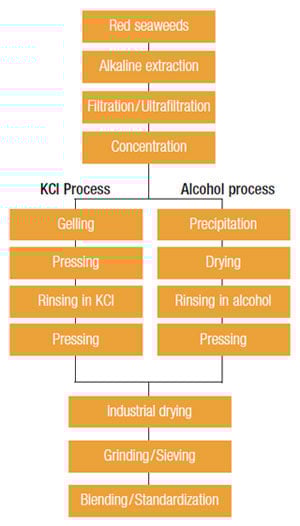 inpage-apac-carrageenan-mfg-process
