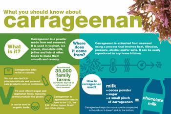 Carrageenan Infographic