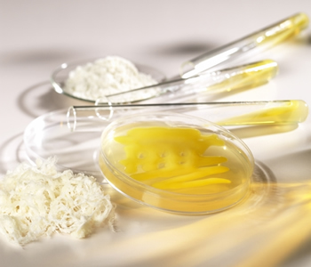 Xanthan Gum