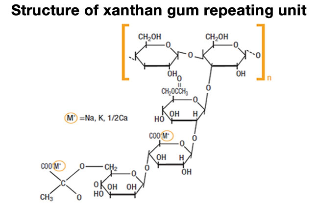 Xanthan Gum Transparent – BRM Chemicals