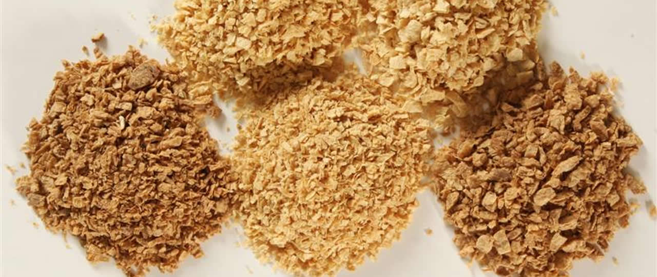 Prosante ® Textured Soy Flour.