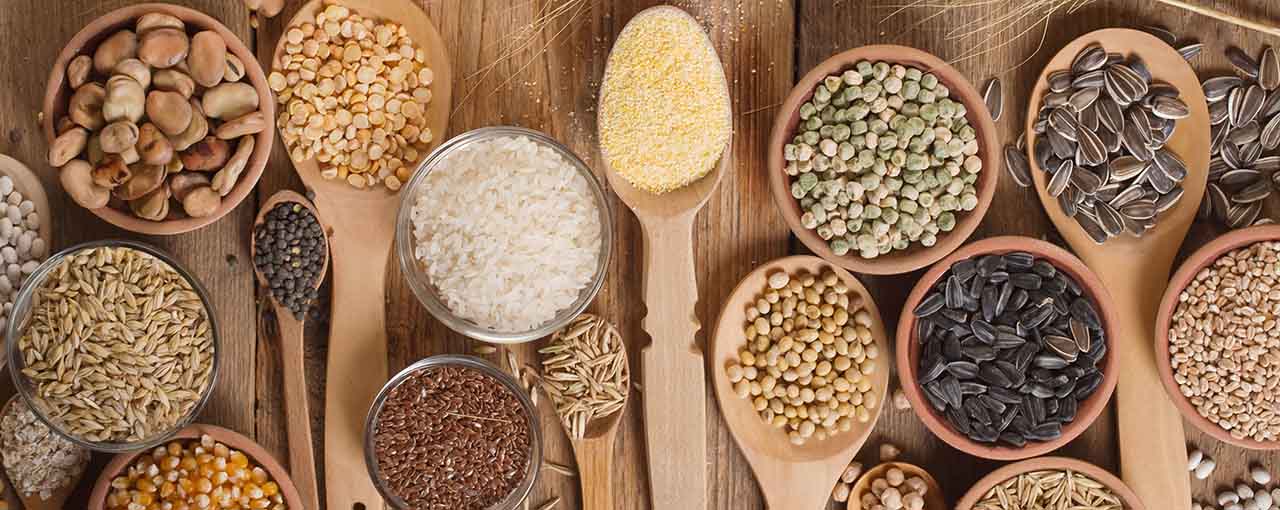 Soy Proteins – Prosante textured soy flour | Cargill EMEA | Cargill