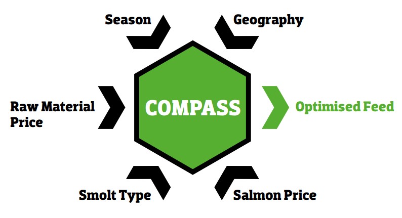 inpage innovation compass diagram can