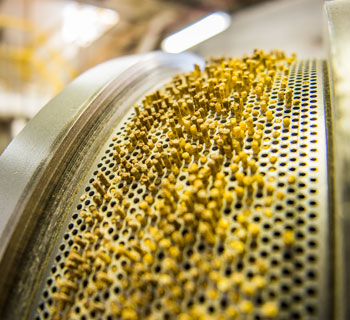 Cargill Nutrition System | Cargill