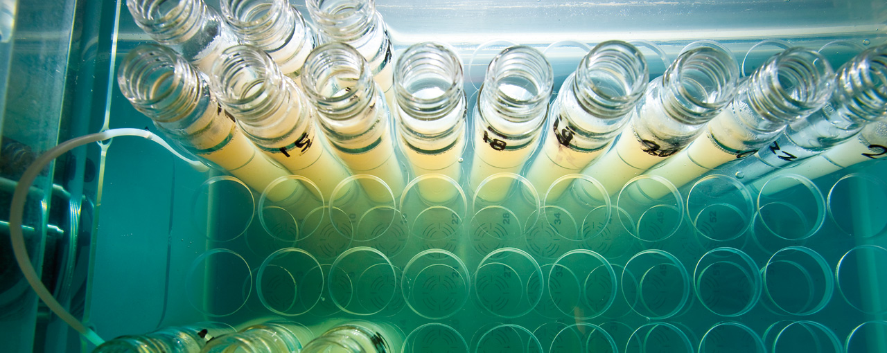 hero innovation test tubes CAN