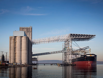cargill ocean transportation dry bulk shipping cargill ocean transportation dry bulk shipping