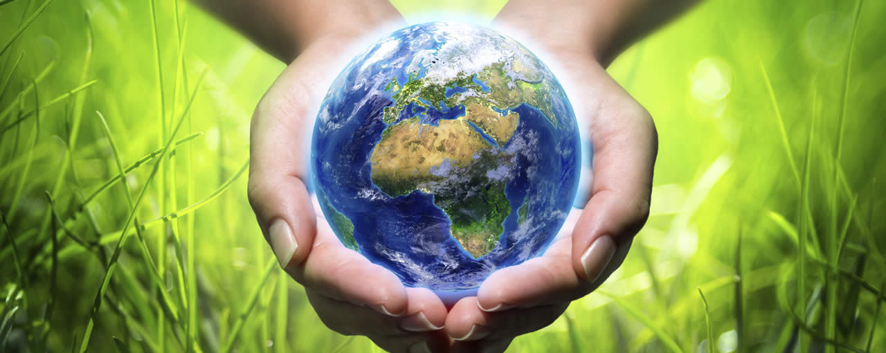 Sustainability