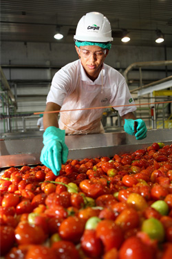 inpage-tomatoes