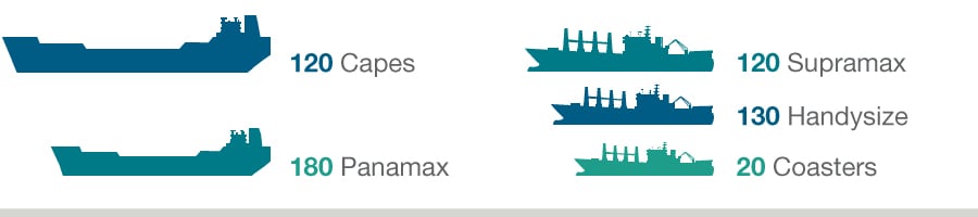 cargill fleet dry bulk freight ships