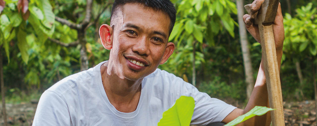 Sustainable Cocoa - Annual Report