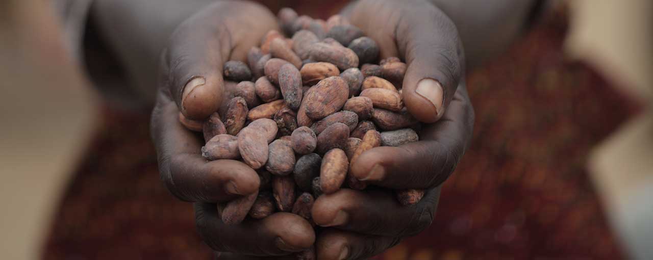 The Cargill Cocoa Promise | Sustainable Cocoa | Cocoa &amp; Chocolate | Cargill