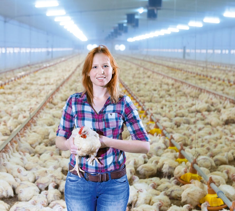 inpage-poultry-woman-holding-chickens