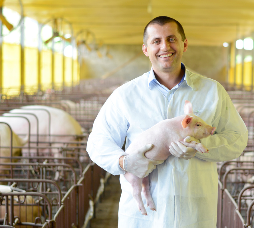 inpage-swine-man-holding-piglet