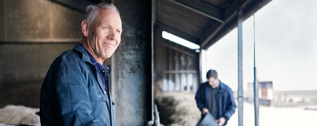 hero-feed4thought-two-men-with-dairy-cows