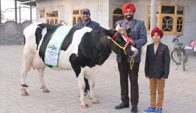inpage-india-dairy-farmer-1