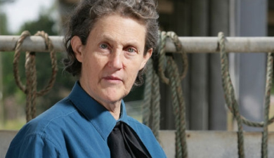 preview-temple-grandin
