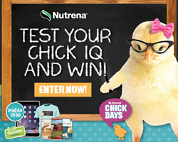 inpage-nutrena-chick-iq