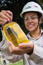 inpage-brazil-biodiesel inpage-brazil-biodiesel