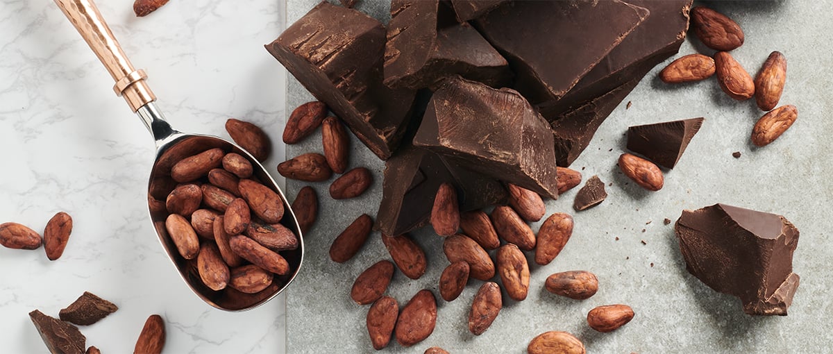 10 Questions On cocoa beans