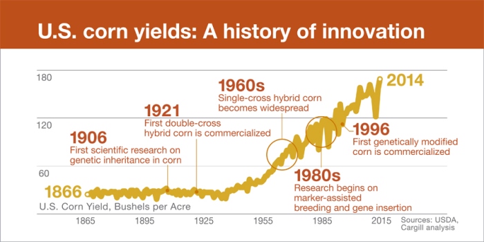 infographic-corn-yields