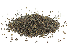 Canola Oil
