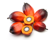 Palm oil