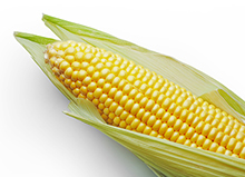 Corn oil