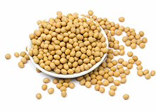 Soybean oil