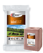 Champions Choice Group Iodized Salt