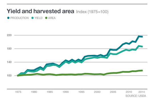 infographic-yield-and-harvested-area