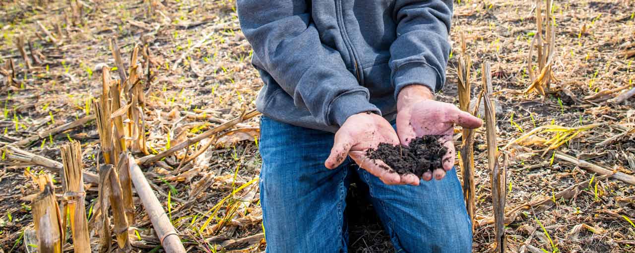 man holding soil in his hands while kneeling in a field