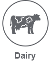 dairy light icon