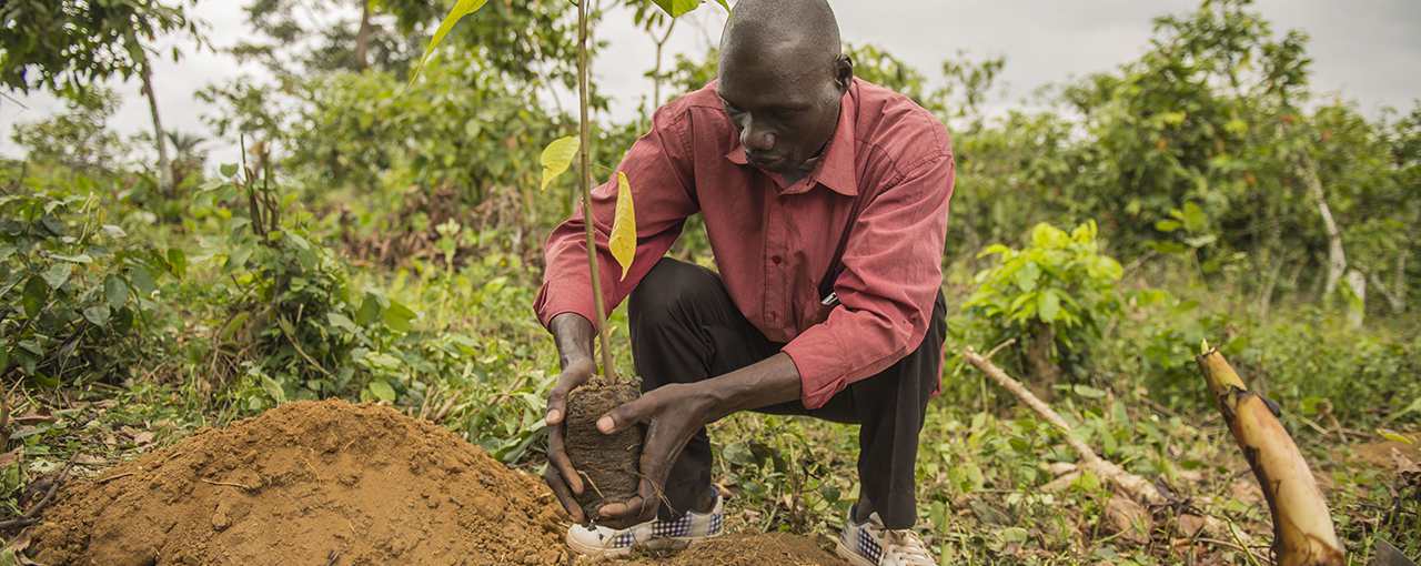 Chocolate Sensations - Sustainable and Natural