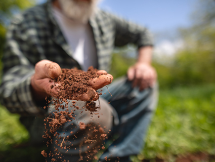 farmer holding soil in his hand