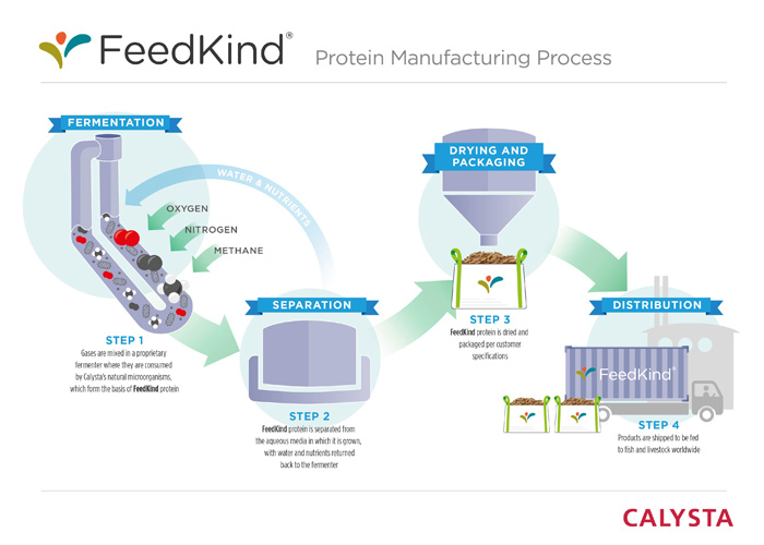 infographic-feedkind-manufacturing