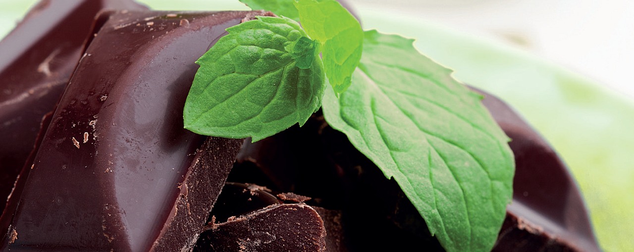 Stevia Leaf Extract Dark Chocolate