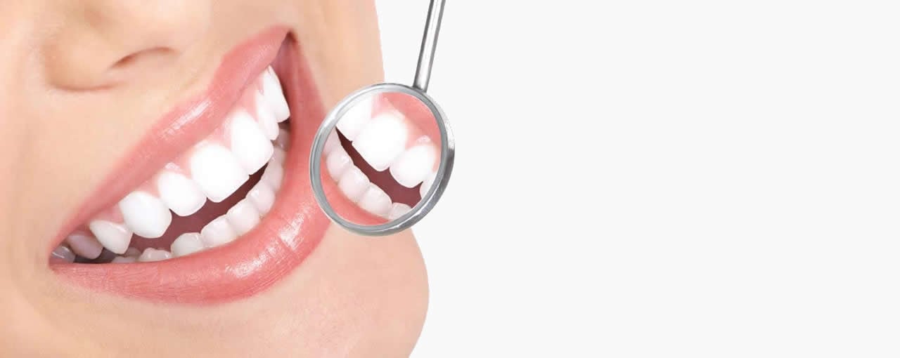 Oral Health Solutions from Cargill