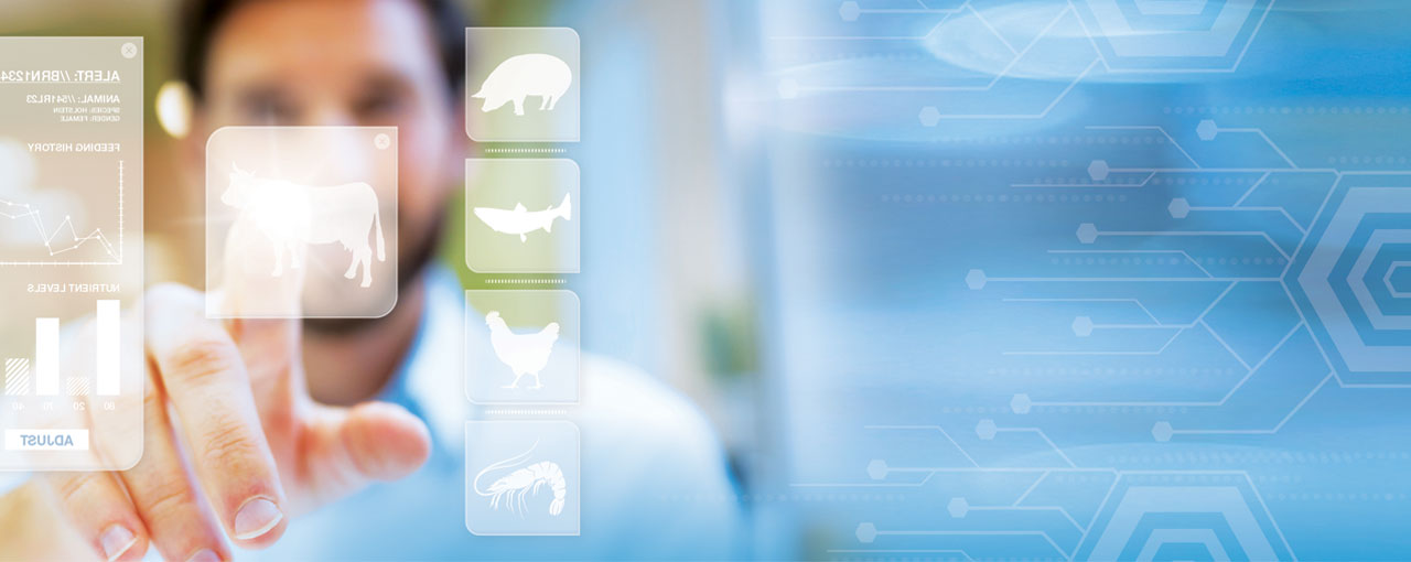 hero can digital nutrition