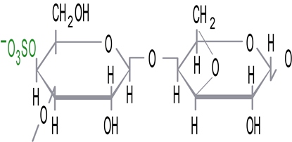 Kappa carrageenan